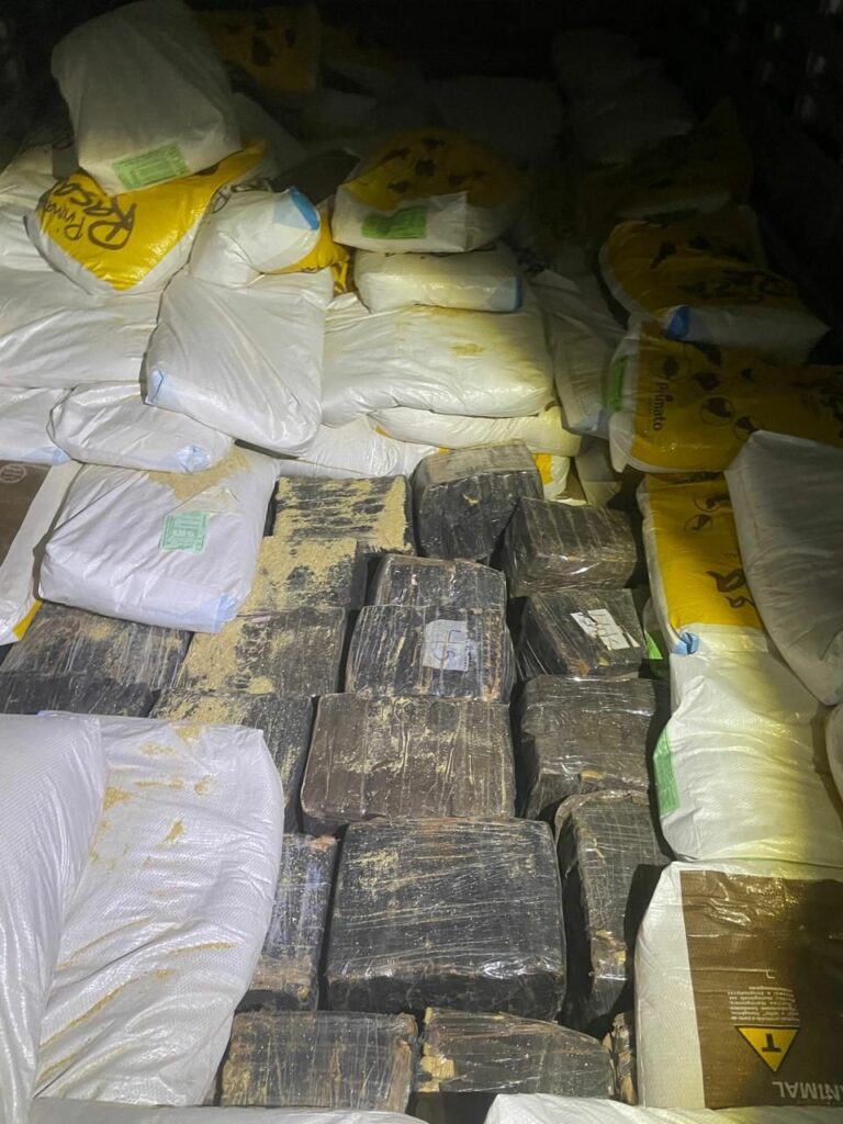 PC deflagra operação “Psicultrópicos”, cumpre mandado de busca e apreensão e prende quatro por tráfico de drogas PC deflagra operação “Psicultrópicos”, cumpre mandado de busca e apreensão e prende quatro por tráfico de drogas