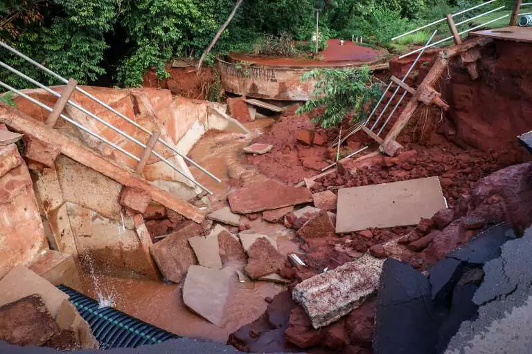 Capivara ferida e filhotes são encontrados em meio à destruição no Lago do Amor Capivara ferida e filhotes são encontrados em meio à destruição no Lago do Amor