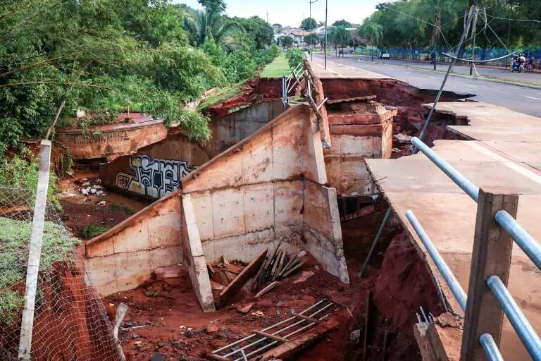 Capivara ferida e filhotes são encontrados em meio à destruição no Lago do Amor Capivara ferida e filhotes são encontrados em meio à destruição no Lago do Amor