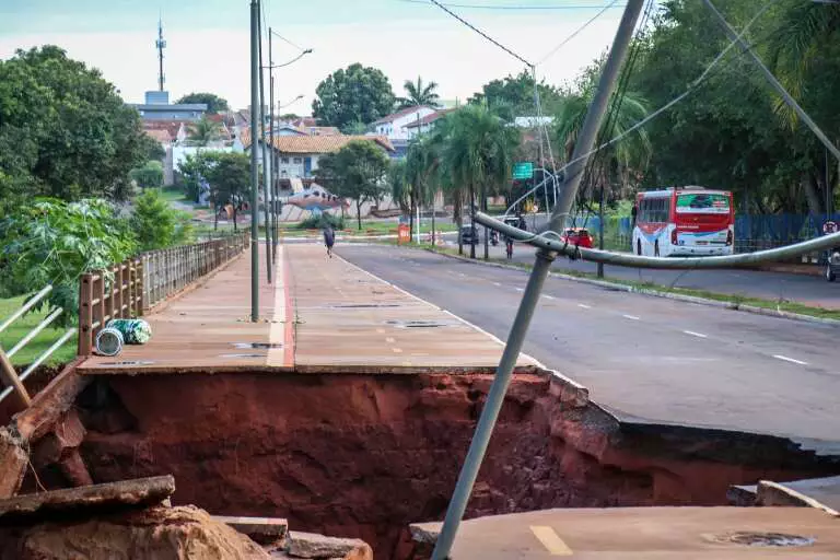 Capivara ferida e filhotes são encontrados em meio à destruição no Lago do Amor Capivara ferida e filhotes são encontrados em meio à destruição no Lago do Amor
