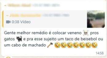 Homem que alimenta animais abandonados é hostilizado por vizinhos Homem que alimenta animais abandonados é hostilizado por vizinhos