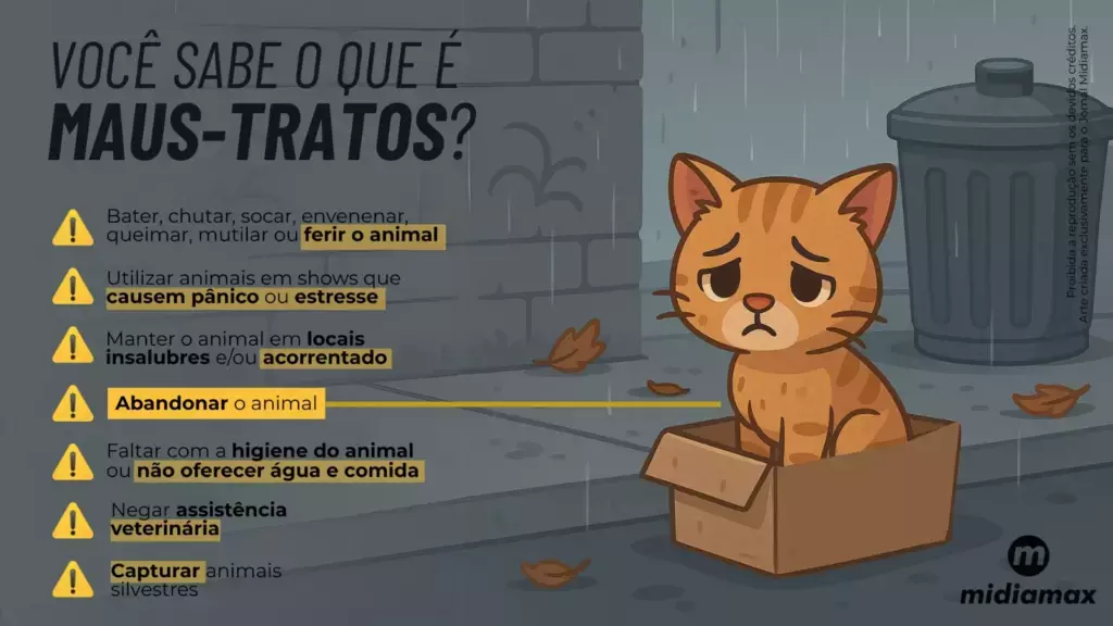 Idoso é suspeito de matar cachorro com golpe de facão e pauladas