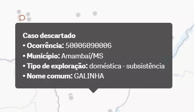MS descarta suspeita de gripe aviária em Amambai MS descarta suspeita de gripe aviária em Amambai