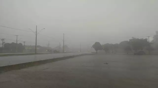 Chuva forte com vento derruba árvore e deixa bairros sem energia elétrica em cidade de MS