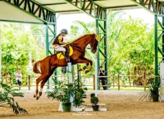 Category "Esportes" com ad especifico contratado