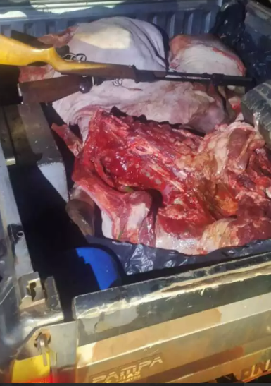 Furto de gado termina com dois mortos em troca de tiros com a polícia Furto de gado termina com dois mortos em troca de tiros com a polícia