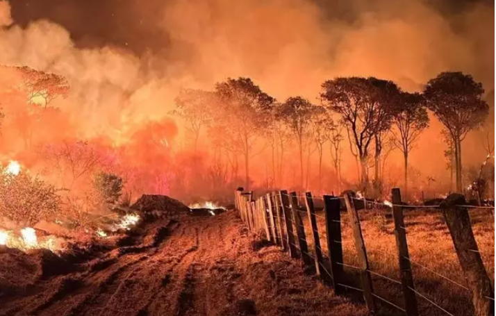 Câmara endurece punição contra incêndios após crise no Pantanal Câmara endurece punição contra incêndios após crise no Pantanal