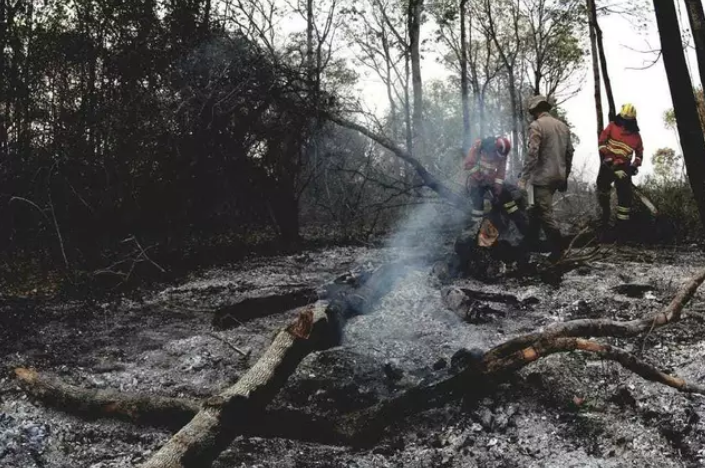Câmara endurece punição contra incêndios após crise no Pantanal Câmara endurece punição contra incêndios após crise no Pantanal