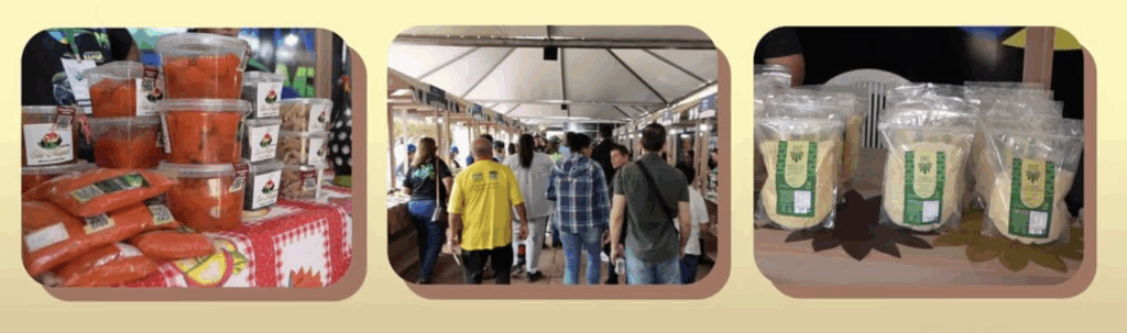 Economia Criativa e Agricultura Familiar levam shows, feiras, cultura e informação para o Pantanal Tech MS Economia Criativa e Agricultura Familiar levam shows, feiras, cultura e informação para o Pantanal Tech MS