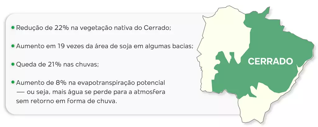 MS quase triplica área de soja em meio à crise hídrica MS quase triplica área de soja em meio à crise hídrica