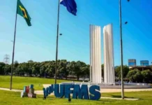 Template Colunistas – Yhuldes Giovani