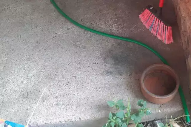 Homem é preso por deixar pitbull sem água, comida e abrigo Homem é preso por deixar pitbull sem água, comida e abrigo