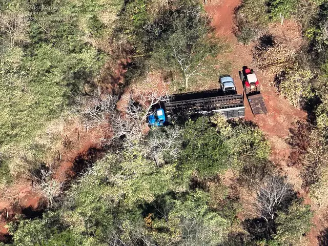 PMA flagra desmatamento e transporte irregular de aroeira em área de reserva PMA flagra desmatamento e transporte irregular de aroeira em área de reserva