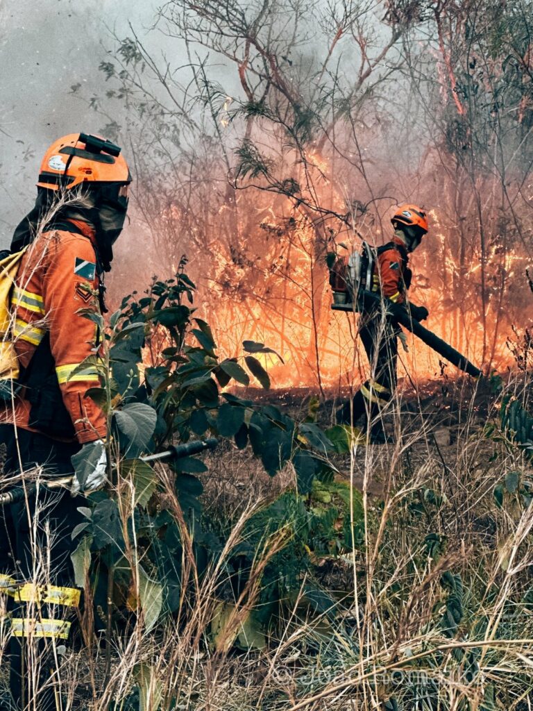 Agosto Cinza: MS registra até mil incêndios no mês mais crítico e reforça alerta Agosto Cinza: MS registra até mil incêndios no mês mais crítico e reforça alerta