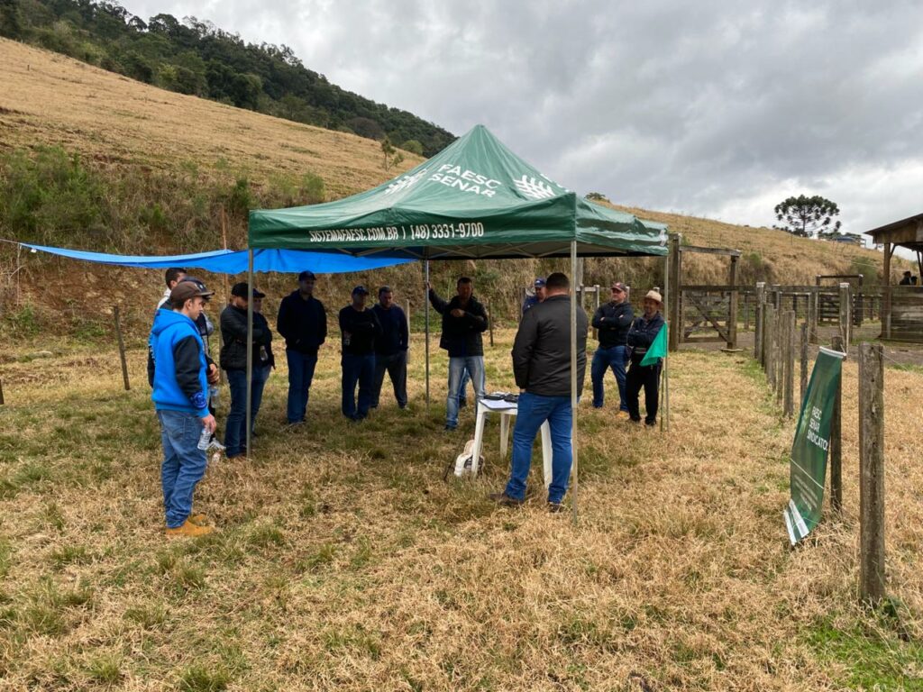 Dia de Campo aborda estrutura e manejo sanitário na bovinocultura de corte no Oeste de SC Dia de Campo aborda estrutura e manejo sanitário na bovinocultura de corte no Oeste de SC