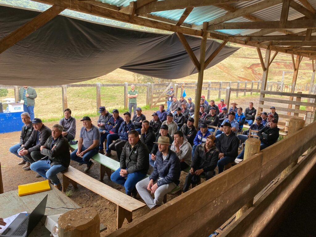 Dia de Campo aborda estrutura e manejo sanitário na bovinocultura de corte no Oeste de SC Dia de Campo aborda estrutura e manejo sanitário na bovinocultura de corte no Oeste de SC