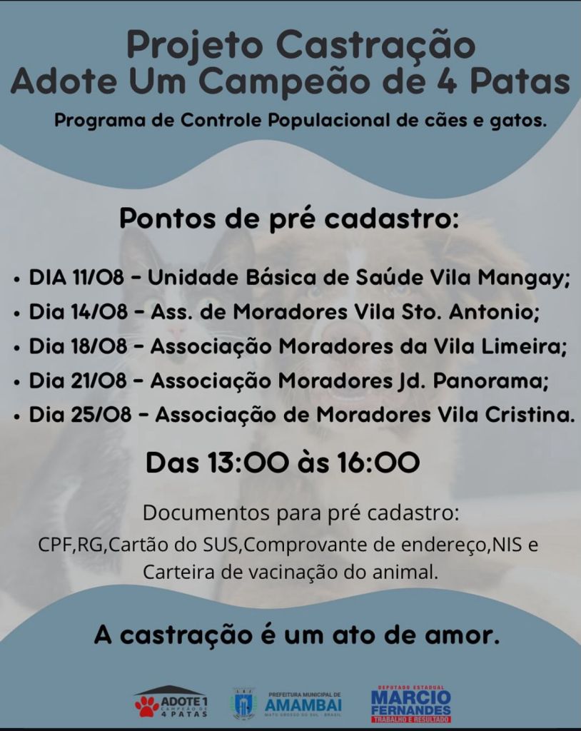 Projeto de castração “Adote Um Campeão de 4 Patas” inicia pré-cadastro em Amambai