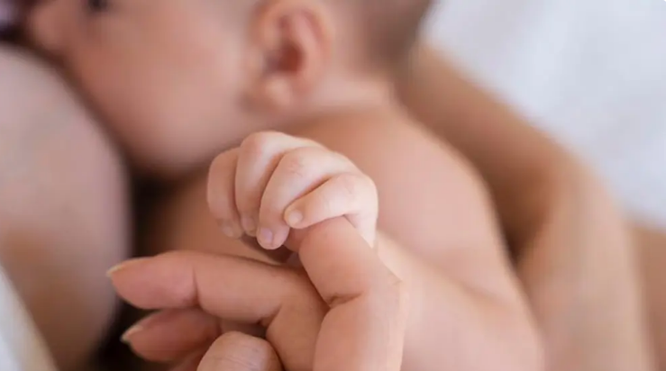 Solo el 31% de bebés recibe lactancia exclusiva, una deuda pendiente Solo el 31% de bebés recibe lactancia exclusiva, una deuda pendiente