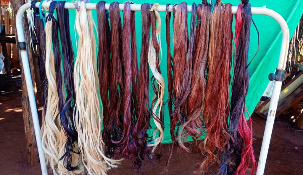 Empreendedora desenvolve cabelo sustentável a partir da fibra de bananeira e inova no setor da beleza