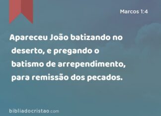 Colunistas