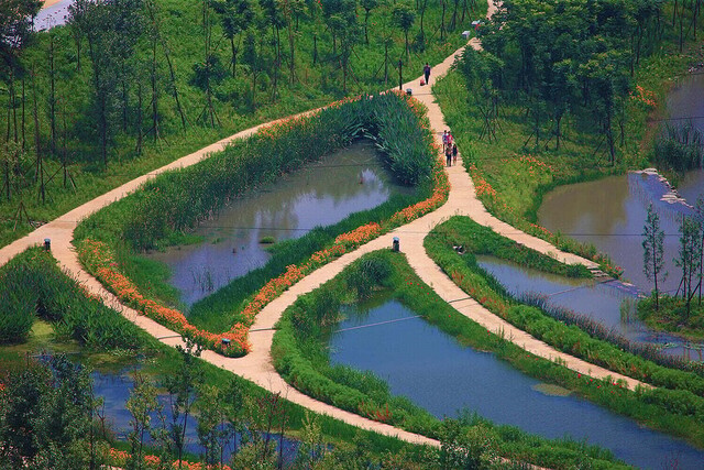 A história do arquiteto chinês que aprendeu com a água e morreu no Pantanal