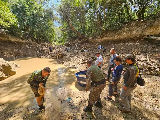 Pela segunda vez, peixes são retirados de trecho do Rio da Prata e salvos