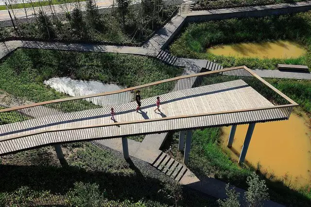 A história do arquiteto chinês que aprendeu com a água e morreu no Pantanal