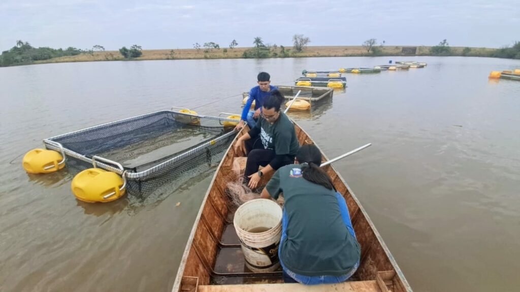Nova Itamarati: CDR/UFGD promove 3º Dia de Campo da Piscicultura e convida produtores da fronteira sul-mato-grossense Nova Itamarati: CDR/UFGD promove 3º Dia de Campo da Piscicultura e convida produtores da fronteira sul-mato-grossense