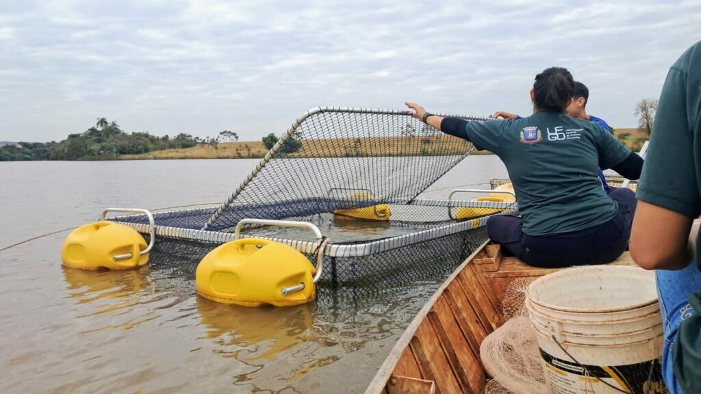 Nova Itamarati: CDR/UFGD promove 3º Dia de Campo da Piscicultura e convida produtores da fronteira sul-mato-grossense Nova Itamarati: CDR/UFGD promove 3º Dia de Campo da Piscicultura e convida produtores da fronteira sul-mato-grossense