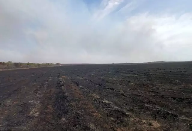Incêndio em colheita de cana destrói vegetação e gera multa de R$ 4,8 milhões Incêndio em colheita de cana destrói vegetação e gera multa de R$ 4,8 milhões