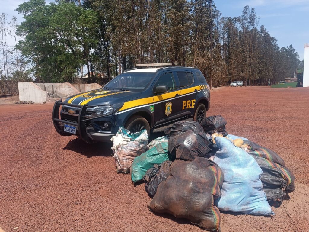 PRF apreende mais de 460 Kg de cocaína e skunk na BR-262 PRF apreende mais de 460 Kg de cocaína e skunk na BR-262