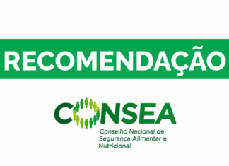 Últimas Notícias