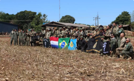 Operação em roças de maconha na fronteira com MS causa prejuízo de US$ 130 mi ao crime organizado