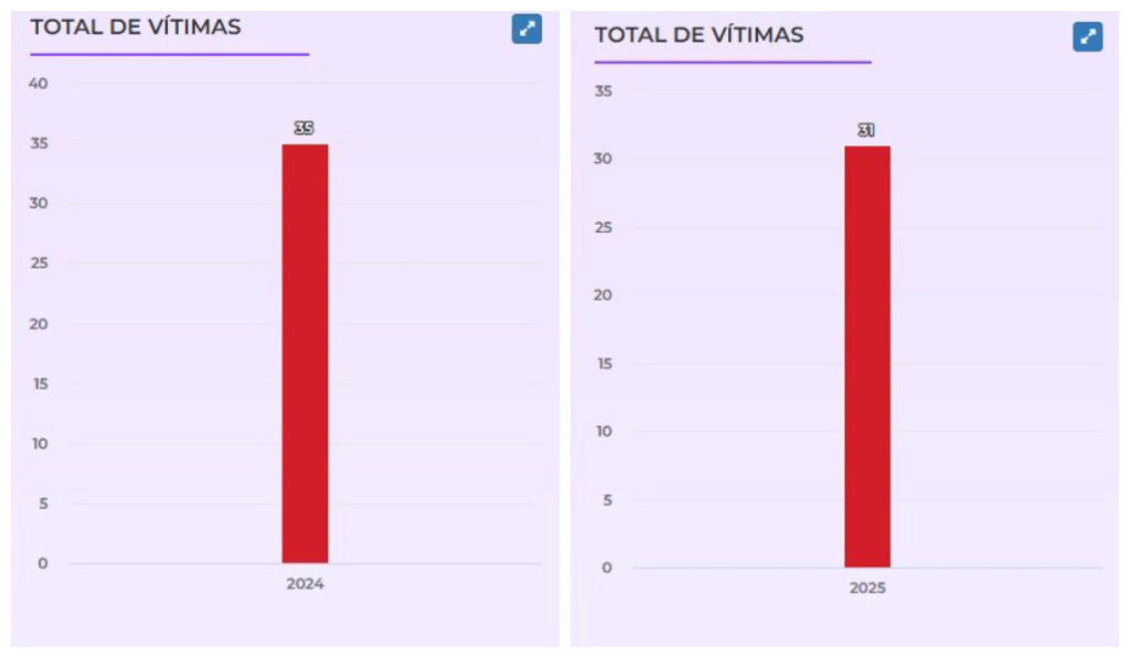 Em 10 meses, MS já ultrapassou feminicídios registrados no mesmo período de 2024