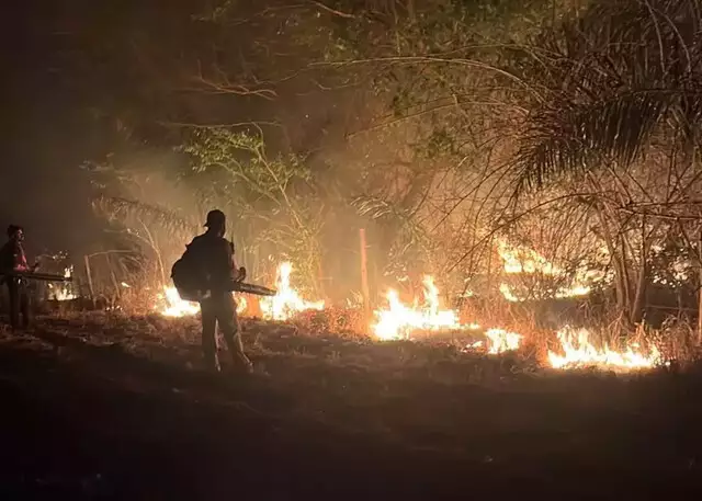 Brigadistas passam a madrugada combatendo fogo no Parque do Taquari Brigadistas passam a madrugada combatendo fogo no Parque do Taquari