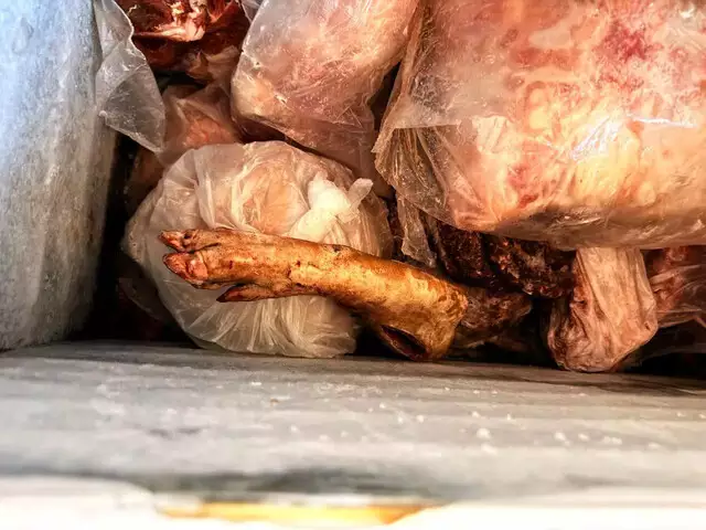 Polícia apreende quase 1 mil kg de carnes durante fiscalização em mercados Polícia apreende quase 1 mil kg de carnes durante fiscalização em mercados