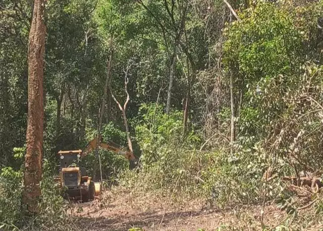 Brigadistas passam a madrugada combatendo fogo no Parque do Taquari Brigadistas passam a madrugada combatendo fogo no Parque do Taquari