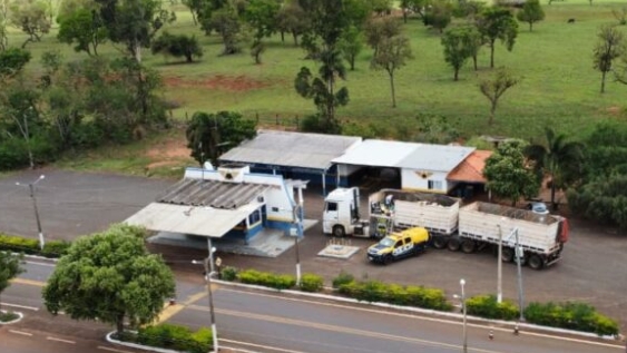 Mais de 20 toneladas de maconha escondidas em carga de milho é apreendida pela PMR em Amambai Mais de 20 toneladas de maconha escondidas em carga de milho é apreendida pela PMR em Amambai