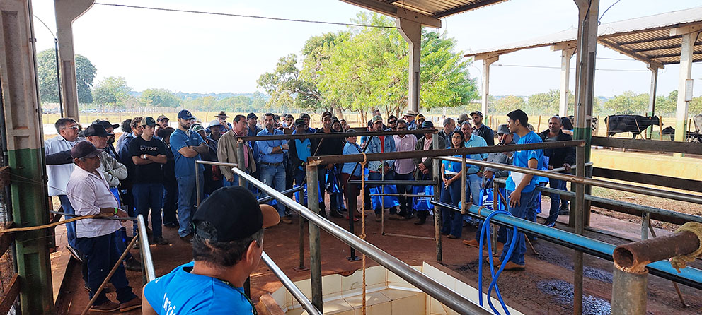 2º TecLeite-MS leva tecnologia e inovação para a produção sustentável do leite em Glória de Dourados 2º TecLeite-MS leva tecnologia e inovação para a produção sustentável do leite em Glória de Dourados