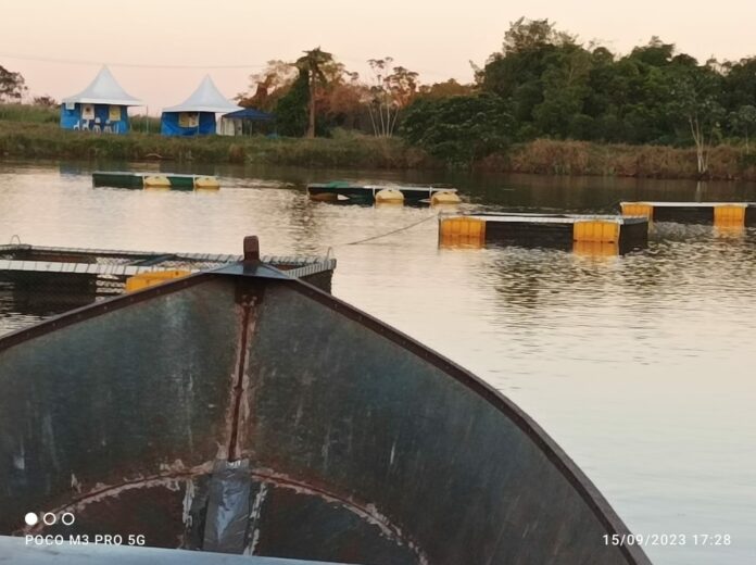 WhatsApp Image 2025-10-28 at 11.44.50