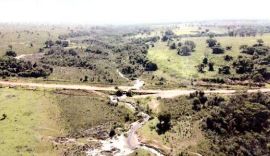 Fazendeiras apontam suposto conluio público a favor de gigante da celulose Fazendeiras apontam suposto conluio público a favor de gigante da celulose