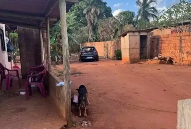 Homem é preso, admite feminicídio e indica onde escondeu a arma do crime Homem é preso, admite feminicídio e indica onde escondeu a arma do crime