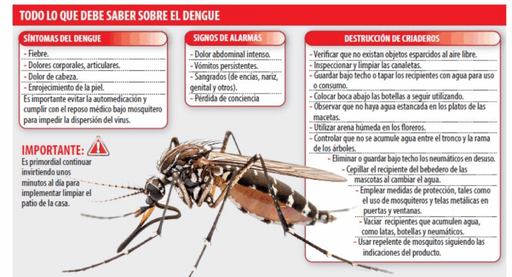 Proyección epidemiológica: Brotes de dengue y chikungunya al acecho Proyección epidemiológica: Brotes de dengue y chikungunya al acecho