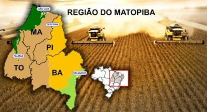dbd97ea1ff8e190acbbaaaa5c93c9979.jpeg