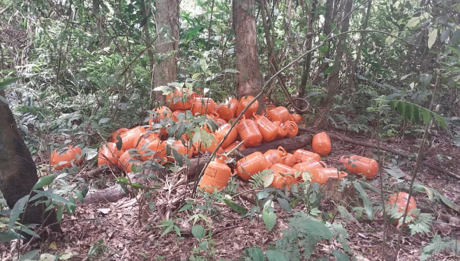 Nueva Alianza 53: Senad rompe el control narco en Estancia Pindó con operativo aéreo y terrestre Nueva Alianza 53: Senad rompe el control narco en Estancia Pindó con operativo aéreo y terrestre