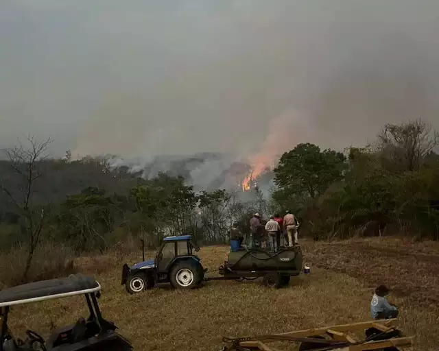 Brigadistas passam a madrugada combatendo fogo no Parque do Taquari Brigadistas passam a madrugada combatendo fogo no Parque do Taquari