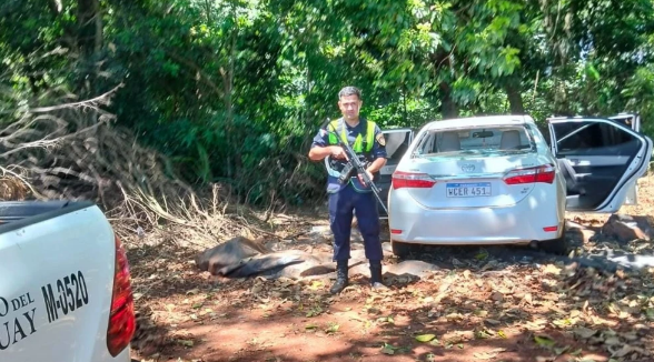 Violento asalto a funcionario de una casa de cambio en Tavapy Violento asalto a funcionario de una casa de cambio en Tavapy