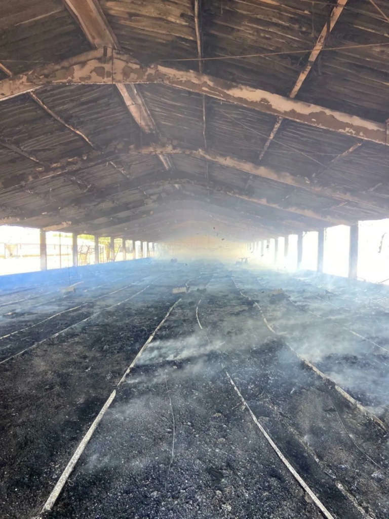 Incêndio atinge e consome granja avícola na MS-306 Incêndio atinge e consome granja avícola na MS-306