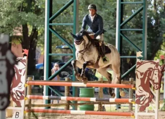 Category "Esportes" com ad especifico contratado