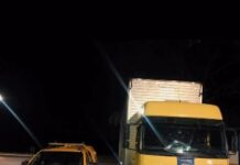 Template Colunistas – Yhuldes Giovani